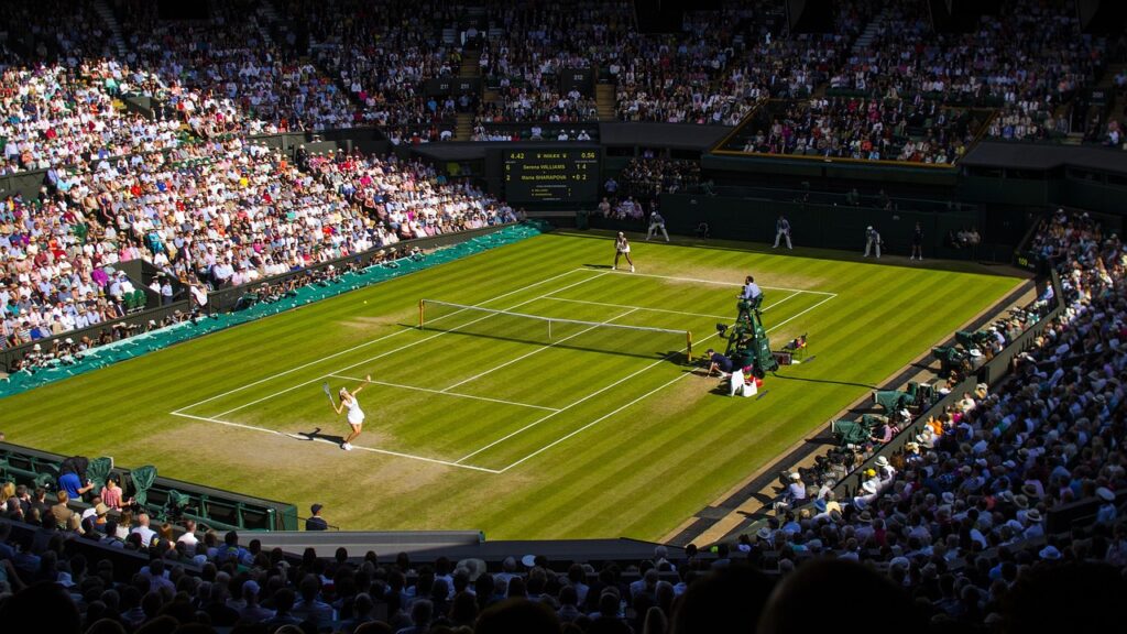 wimbledon, final, tennis, centre court, sport, women, london, wimbledon, wimbledon, wimbledon, wimbledon, wimbledon